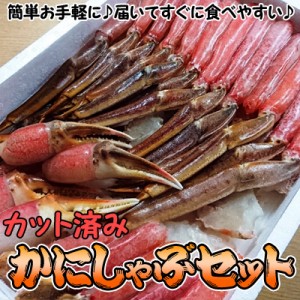 "かにしゃぶセット カット済み 生 本ずわい 1.2kg×2箱(2.4kg) 送料無料 ※沖縄送料別途加算"