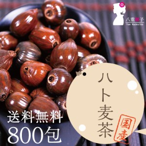 はと麦茶 国産 ティーパック バッグ 2000g(2.5g×800包) 送料無料 ハトムギ茶 はとむぎ茶 ハト麦茶