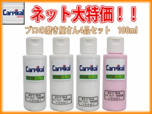 【業務用カーピカルコンパウンド 4品セット 100ml】研磨剤セット ボディ磨き 鏡面仕上 小傷 洗車傷 爪傷 ひっかき傷 研磨剤 コーティング