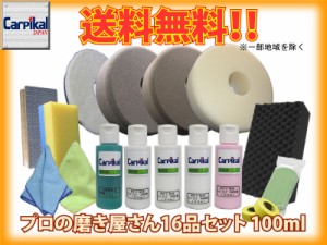 送料無料【業務用カーピカルコンパウンド 16品セット 100ml】ウールバフ タオルバフ スポンジバフ ウレタンバフ 小傷 洗車傷 爪傷