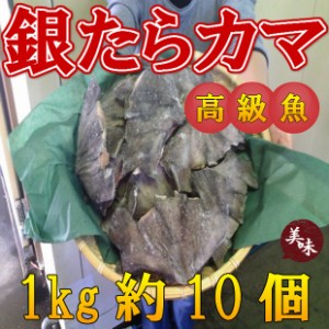 送料無料！！脂乗り 最高 ギンタラ カマ肉 1kg のし対応 お歳暮 お中元 ギフト BBQ 魚介