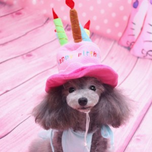 犬用お誕生日パーティ帽子/犬帽子/ハッピーバースデーハット/バースディ/かぶりもの/仮装/ドッグウェア/犬の洋服/記念日写真【F808】