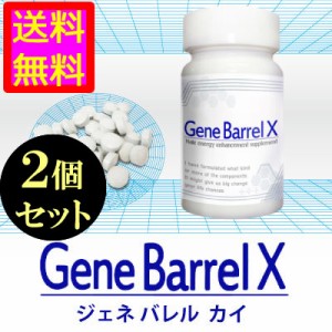 ●送料無料☆独自メカニズム融合で驚異的な実績【GENE BARREL Χ（ジェネバレル カイ） ２個セット】メンズサポートサプリ/materi75P6