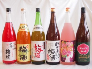 こんな梅酒福袋が欲しかったぁ　飲み比べ6本セット（中野BC 赤い梅酒 五代梅酒 小正の梅酒 中埜酒造 おばあちゃんの梅酒 中埜酒造 ローズ