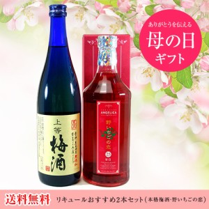 リキュールおすすめ2本セット（本格梅酒・野いちごの恋） 