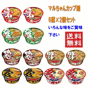 東洋水産 マルちゃん カップ麺 12個セット 関東圏送料無料