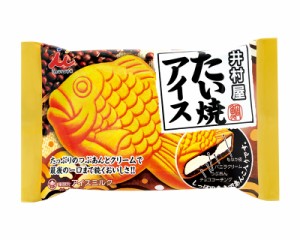 井村屋　アイス　たい焼きアイス　20入　最中　送料無料（北海道・九州は除く沖縄・離島発送不可）