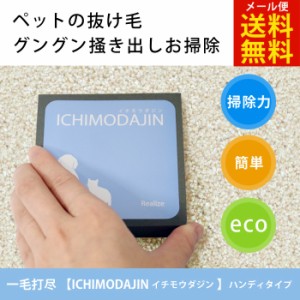 一毛打尽 (いちもうだじん) ハンディタイプ  【送料無料★メール便発送】ペットの抜け毛 車のシート ラグ マット 