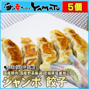 手包みジャンボ餃子 1つ60gのジャンボサイズが5個入 冷凍食品 おつまみ 惣菜 ぎょうざ ギョウザ