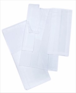 二部式襦袢 夏用 絽 洗える 白 Ｍ Ｌ 日本製 夏物 単衣 着物 きもの 和装 下着 女性用 レディース 白色 じゅばん