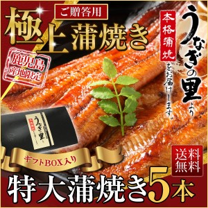 グルメ ギフト うなぎ 蒲焼き 国産 送料無料 鹿児島産 特大蒲焼 5本 ギフトBOX特典付き 土用の丑の日 送料無料 海鮮 お誕生日 クール