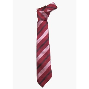 STARRYAGE ネクタイ(スイックストライプエンジ)全16種類 正規品 JK制服 スクール