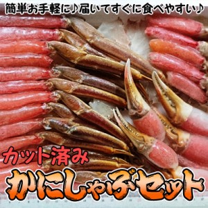 "かにしゃぶセット カット済み 生 本ずわい 1.2kg×3箱(3.6kg) 送料無料 ※沖縄送料別途加算"