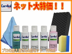 【業務用カーピカルコンパウンド 8品セット 100ml】研磨剤セット ボディ磨き 鏡面仕上 小傷 洗車傷 爪傷 ひっかき傷 研磨剤 コーティング