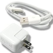 10W USB電源アダプタ A1357 +Dockケーブル iPad用