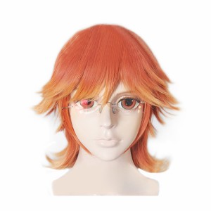 王室教師ハイネ ハイネ・ヴィトゲンシュタイン  コスプレウィッグ　かつら cosplay wig 耐熱 変装用ウィッグ専用ネット付 