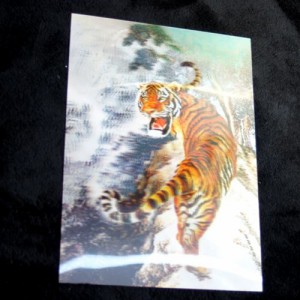 中華・立体3Dポスター「山上の虎」