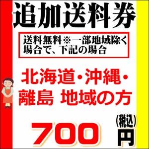 北海道・沖縄・離島　追加送料券　