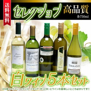 2セット セレクション 白ワイン 5本×2セット ( スペインワイン 1本 フランスワイン 1本 イタリアワイン 1本 チリワイン 2本)計750ml×10