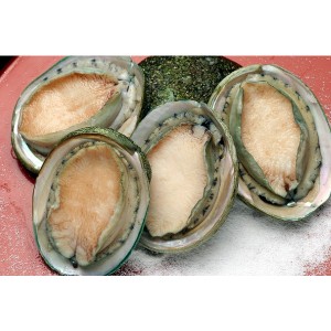 冷凍 生食可 あわび(翡翠の瞳) 1kg　3Ｌ　8粒〜9粒入【貝】