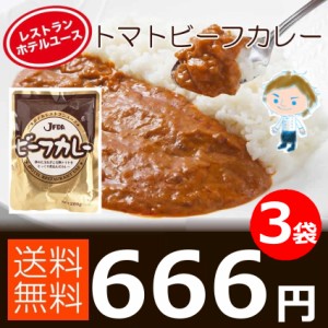 ビーフカレー 3袋セット 大阪カレー レトルト お試し 送料無料 メール便 お試しセット 保存 辛口