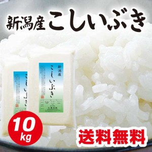 米 令和5年産 新潟産こしいぶき【真空パック】5kg×2 【北海道〜九州送料無料】