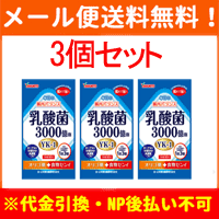 【メール便送料無料！3個セット！】【山本漢方】 乳酸菌粒 90粒