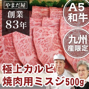 九州産 黒毛和牛(鹿児島黒牛/佐賀牛/宮崎牛)牛肉 国産牛 和牛 A5ランク 5等級 BBQ バーベキュー 焼き肉 極上カルビ ミスジ みすじ 500g