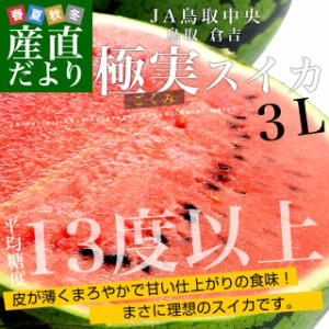 鳥取県産　JA鳥取中央倉吉スイカ　極実（ごくみ） 秀品 ３L以上の大玉 7.5キロ以上 送料無料 西瓜 すいか