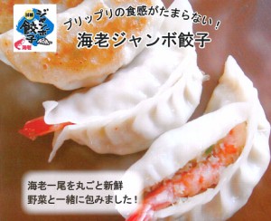 【全国送料無料】海老まるごとジャンボ餃子(20個入)セット