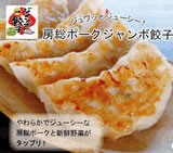 送料無料 【房総ジャンボ餃子本舗】 房総ジャンボ餃子　20個（5個×4pack）セット　＊一部地域のみ別途送料