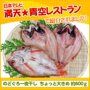 島根県特産品 海産物 のどぐろ一夜干し（3〜5尾）約800ｇ 一夜ぼし 干物 のどぐろ 送料無料 【お届け不可地域：ヤマト運輸の配達不可地域