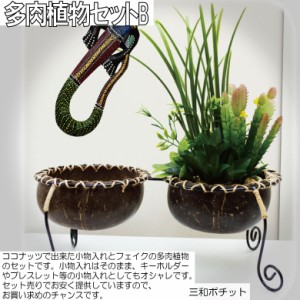 ココナッツトレイ ダブル 多肉植物セット アジアン雑貨 バリ雑貨 かわいい ギフト プレゼント オブジェ ハンドメイド 【送料無料】