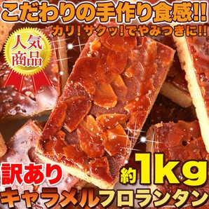 【送料無料】【同梱不可】キャラメルフロランタン 1kg こだわりの手作り食感 (SM00010318)