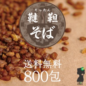 【初回購入者限定クーポン付】韃靼そば茶 そば茶 ティーパック ティーバッグ 800包 韃靼蕎麦(だったんそば)茶 ノンカフェイン そば茶/ソ