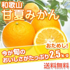 和歌山県産 お試し！訳あり 甘夏みかん あまなつ ご自宅用 2.5kg(傷あり サイズ不揃い シミ 汚れあり) 送料無料