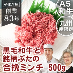 九州産 黒毛和牛（鹿児島黒牛/佐賀牛/宮崎牛）牛肉 和牛 A5 5等級と鹿児島県産はいからポーク 銘柄豚 合挽 ミンチ 500g  