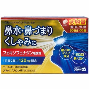 【第2類医薬品】スカイブブロンHI 60錠【セルフメディケーション税制対象】【※アレグラと同成分※】※メール便4個まで