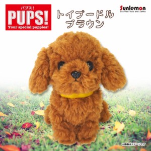 ぬいぐるみ 犬 パプス トイプードル ブラウン 【P-5912】 PUPS! Sサイズ お座り ねそべり 首輪付き  サンレモン