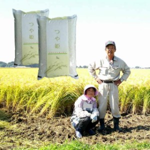 令和4年産 無洗米 10kg 島陰輝夫さんが作った 「つや姫」 宮城県 登米産 無洗米10kg (5kg×2) 送料無料 デザインポリ袋  