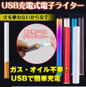 電子ライター スティック 息 吹く 点火 USBライター 電熱 充電式  熱線ライター  喫煙具 エコグッズ rt007