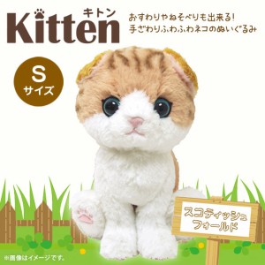 ぬいぐるみ 猫 キトン スコティッシュフォールド ブラウン【P-4222】Kitten たれ耳 お座り ねそべり ぷっくり肉球 サンレモン