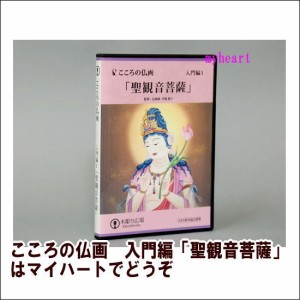 【 宅配便配送・7560円以上は送料0円】 こころの仏画　入門編「聖観音菩薩」（ＤＶＤ＋図面＋色見本）