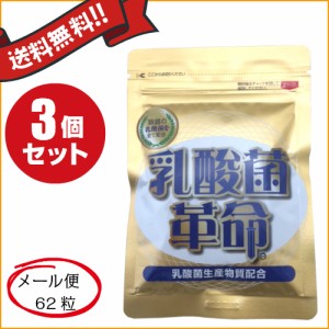 乳酸菌革命 62粒 3袋セット 健康いきいき倶楽部 送料無料