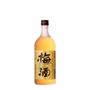  12本まで送料1本分  梅酒 12度 芋焼酎造り 五代梅酒 720ml 瓶 1本 鹿児島県 山元酒造 