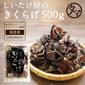 乾燥キクラゲ500g（250g×2袋）（約5kgの生きくらげを使用）きくらげ 乾燥キクラゲ 木耳 キクラゲ 干しきくらげ きのこ 業務用 無農薬 乾