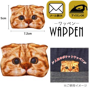 ワッペン  ネコ 動物 刺繍ワッペン アイロン接着　手芸 手作り アニマルワッペン　縦5cm×横7.2cm アップリケ母の日 プレゼント ギフト