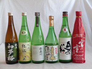 金賞受賞蔵 定番飲み比べ日本酒6本セット 720ml×6本 