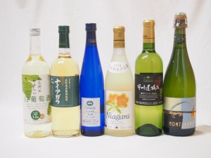 甘口白ワイン6本セット(からだにやさしい ナイアガラ 完熟 甲州遅摘 み モンサラ))500ml×1本 720ml×5本(山梨県・北海道・スペイン) 