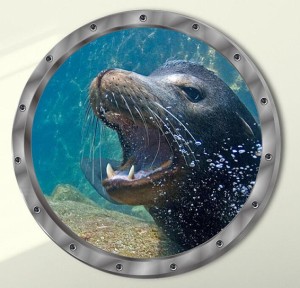ウォールステッカー 潜水艦窓から アシカ 3D壁シール 覗き見る 海中 リアルな 生き物 動物 はがせる デコレーションデカール 配送無料